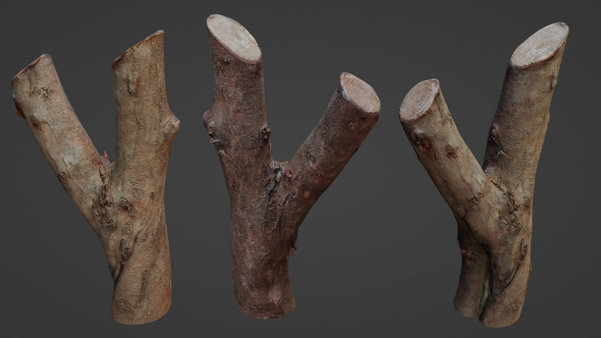 Log Y shaped 3D Model .c4d .max .obj .3ds .fbx .stl .blend 