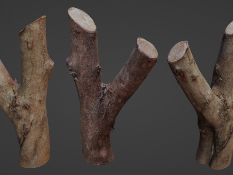 Log Y shaped Modèle 3D