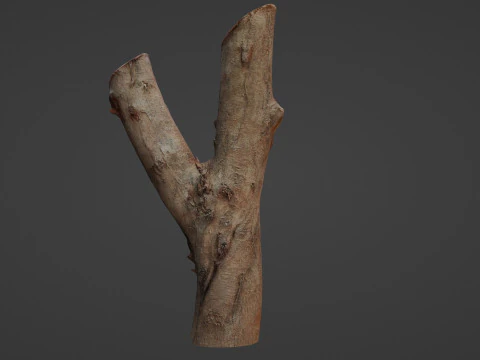 Log Y shaped 3D Model