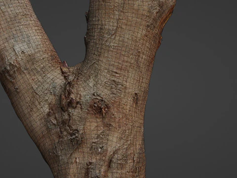 Log Y shaped 3D Model