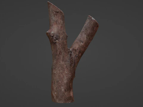 Log Y shaped 3D Model