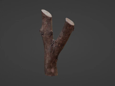 Log Y shaped 3D Model