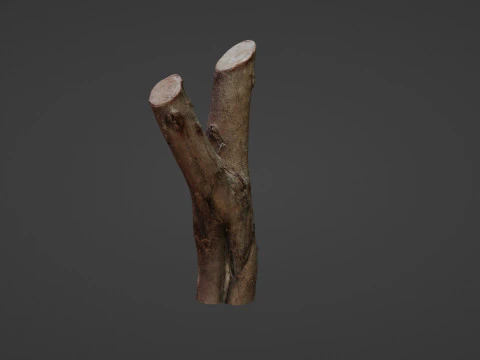 Log Y shaped 3D Model