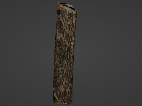 Tree Trunk Cutted Model 3D