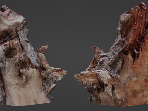 Trunk Scanned 3D Модель