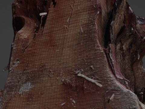 Trunk Scanned 3D Model