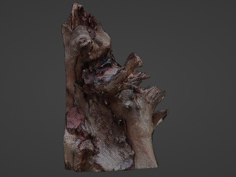 Trunk Scanned 3D Model