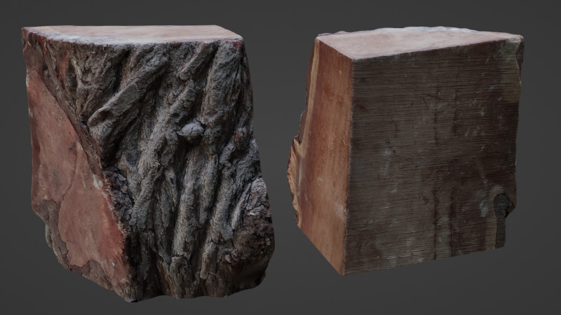 Trunk Cutted Model 3D .c4d .max .obj .3ds .fbx .stl .blend