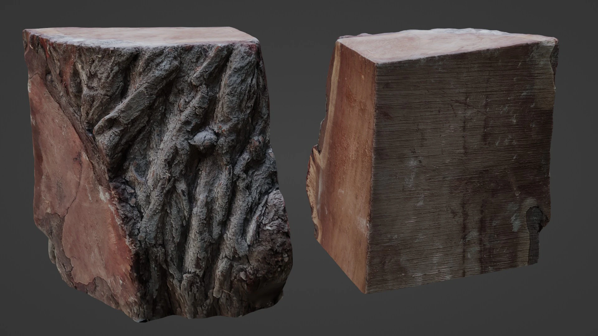 Trunk Cutted 3D Model .c4d .max .obj .3ds .fbx .stl .blend