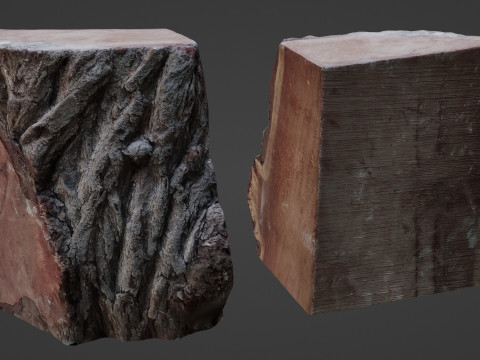 Trunk Cutted 3D Model