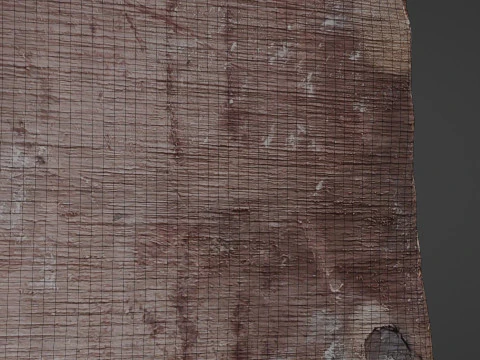 Trunk Cutted 3D Model