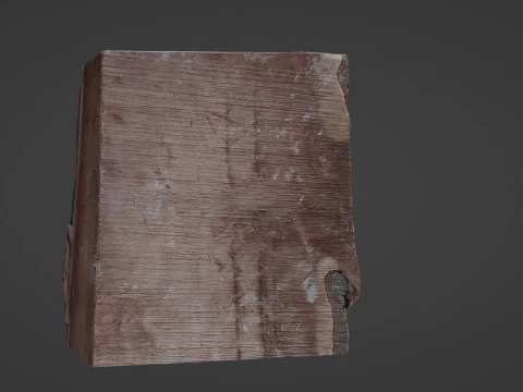 Trunk Cutted 3D Model