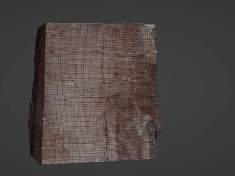 Trunk Cutted 3D Model