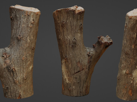 Scan Trunk Model Modelo 3D
