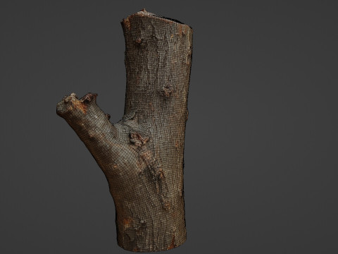 Scan Trunk Model 3D Модель