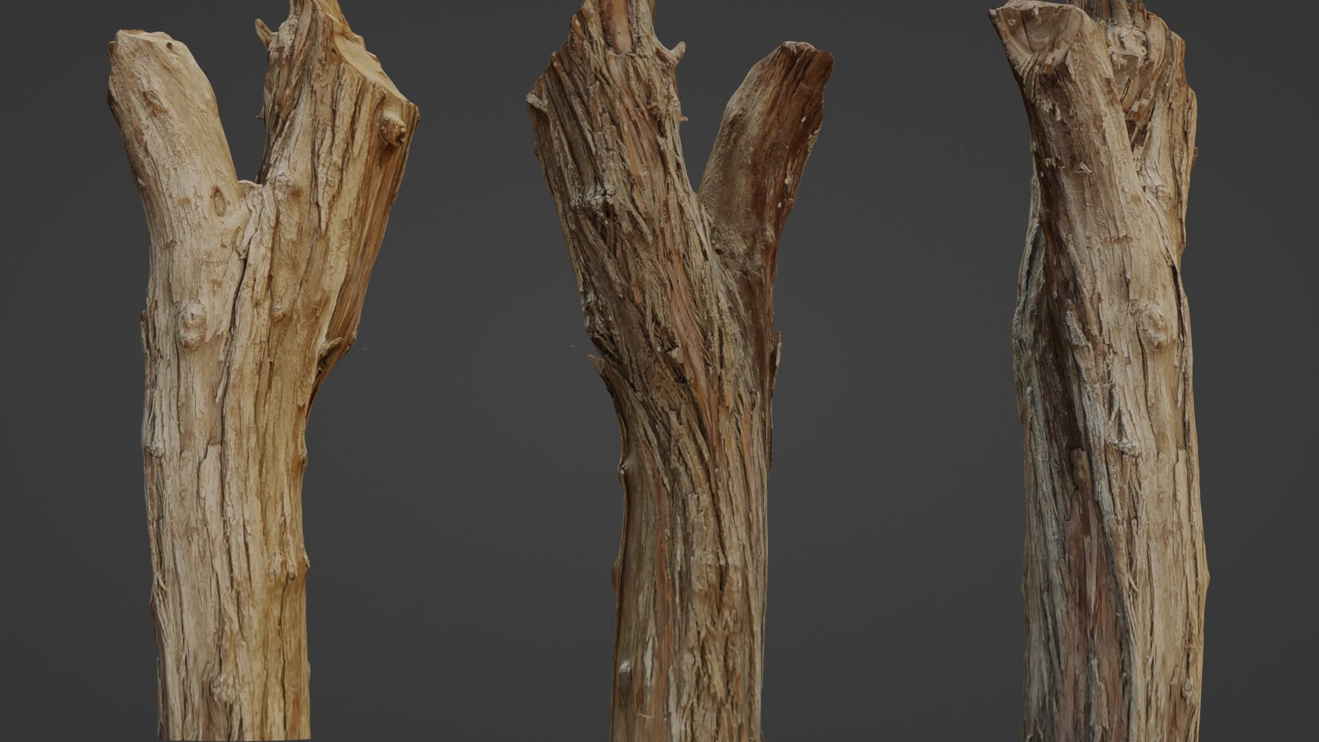 Scanned Tree trunk 3D Model .c4d .max .obj .3ds .fbx .stl .blend 