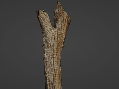 Scanned Tree trunk 3D Model