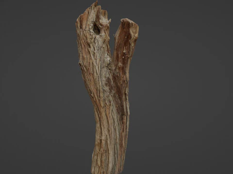 Scanned Tree trunk 3D Model