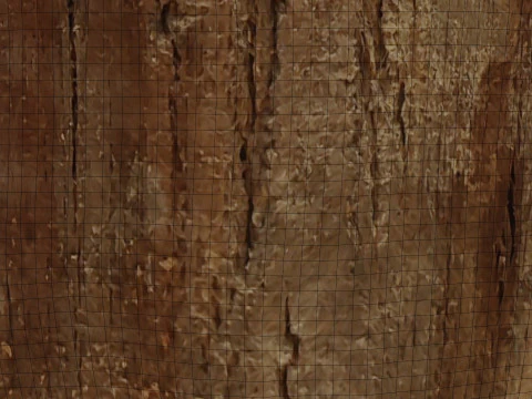 Butcher board 3D Model