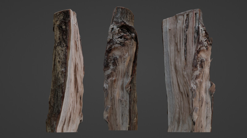 Cutted Log 3D Модель .c4d .max .obj .3ds .fbx .stl .blend