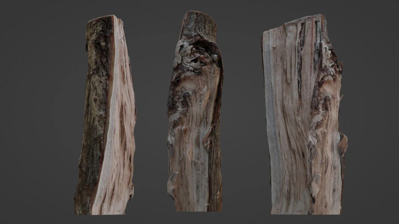 Registro tagliato Modello 3D .c4d .max .obj .3ds .fbx .stl .blend 