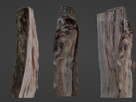 Cutted Log Modelo 3D
