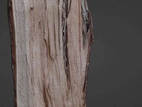 Cutted Log 3D Модель