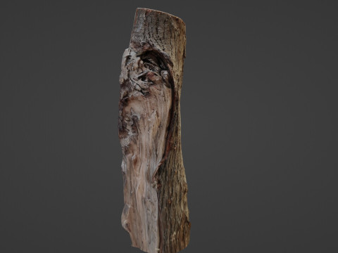 Cutted Log 3D Модель