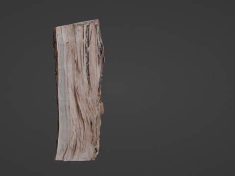 Cutted Log 3D Модель