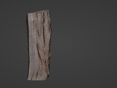 Cutted Log 3D Модель