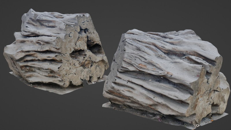 Tree Trunk Scanned Modelo 3D .c4d .max .obj .3ds .fbx .stl .blend