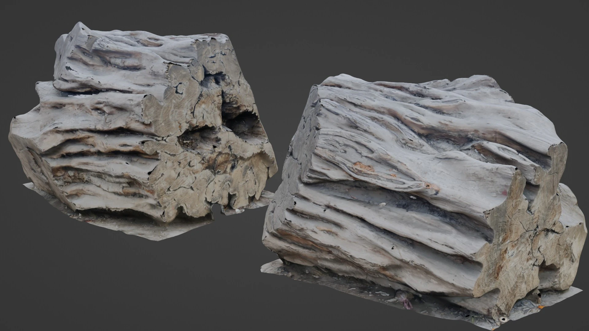 Tree Trunk Scanned 3D Model .c4d .max .obj .3ds .fbx .stl .blend