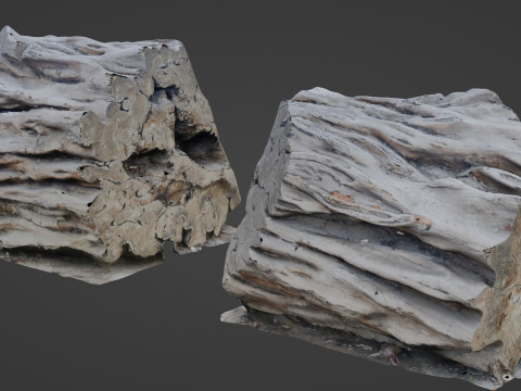 Tree Trunk Scanned 3D Model