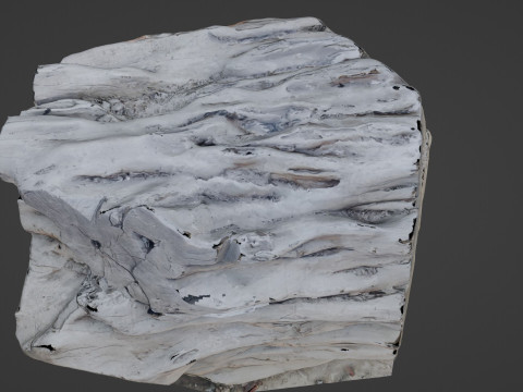 Tree Trunk Scanned Modelo 3D