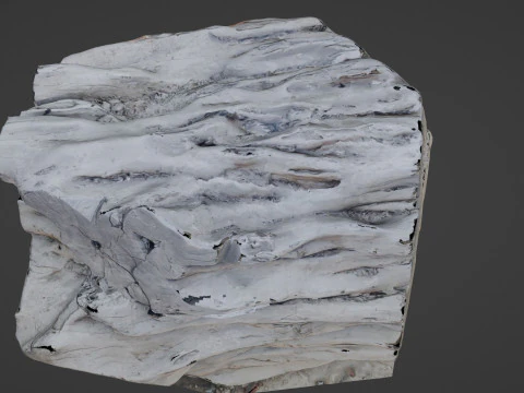 Tree Trunk Scanned 3D Model