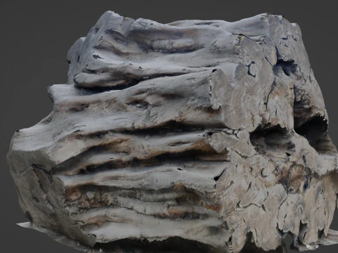 Tree Trunk Scanned 3D Model