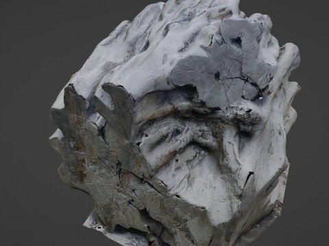 Tree Trunk Scanned 3D Model