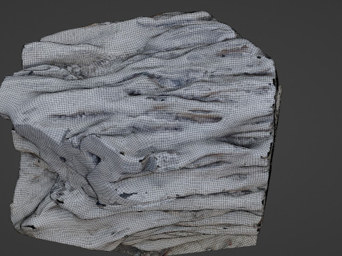 Tree Trunk Scanned Modelo 3D