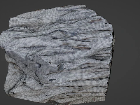 Tree Trunk Scanned 3D Model