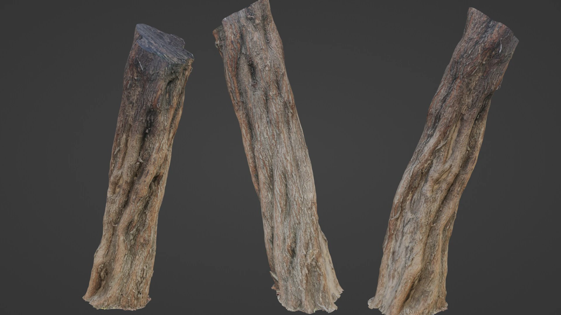 Tree Trunk 3D Model .c4d .max .obj .3ds .fbx .stl .blend