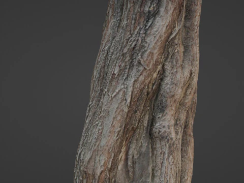 Tree Trunk 3D Model