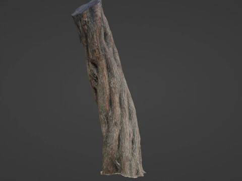 Tree Trunk 3D Model