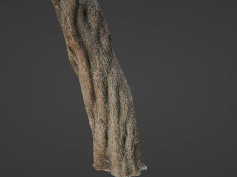 Tree Trunk 3D Model