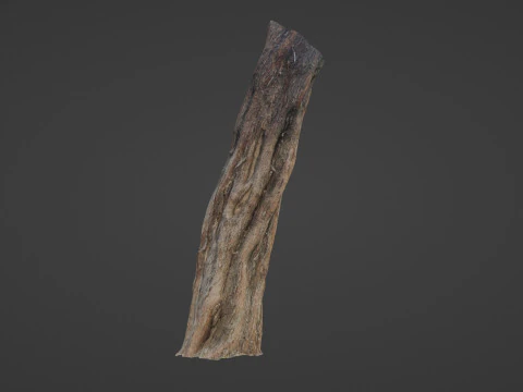 Tree Trunk 3D Model