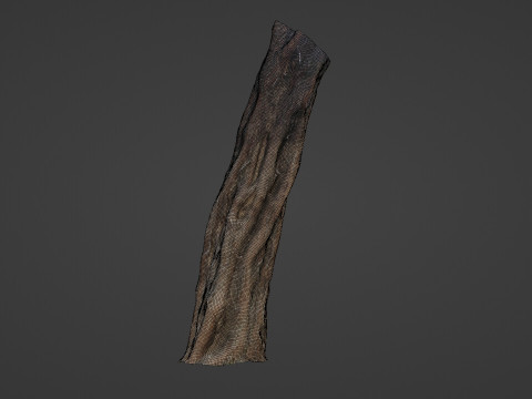 Tree Trunk Modello 3D