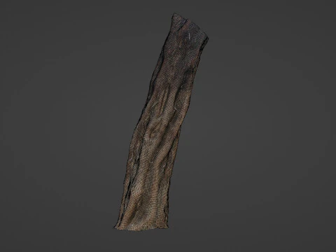 Tree Trunk 3D Model
