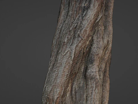 Tree Trunk 3D Model