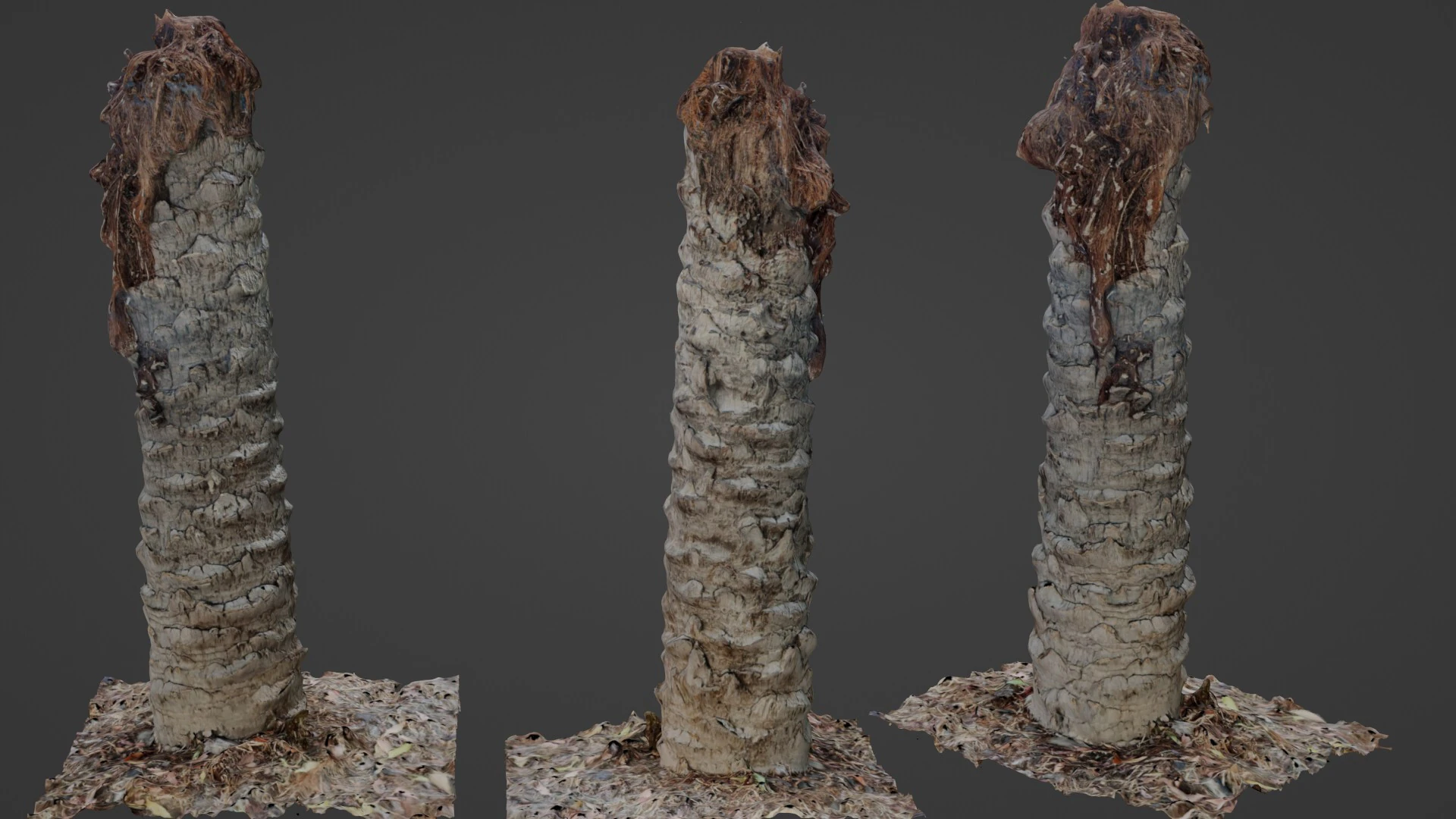 Palm Tree Trunk 3D Model .c4d .max .obj .3ds .fbx .stl .blend 