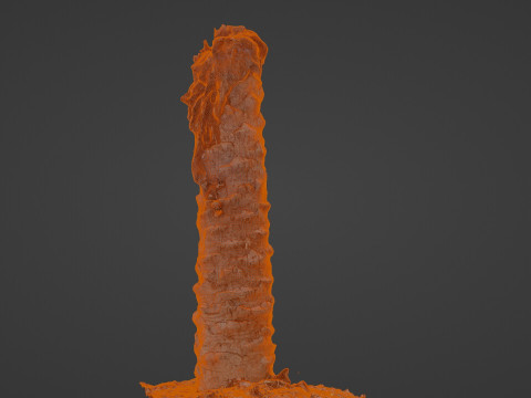 Palm Tree Trunk Modèle 3D