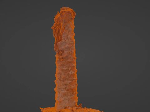 Palm Tree Trunk 3D Model